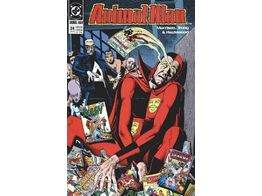 DC Comics - Animal Man 024 (Cond. VF-) - 19331