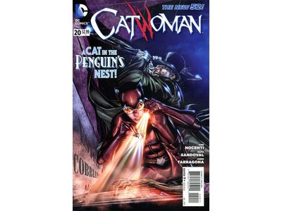 DC Comics - Catwoman 020 - 2072