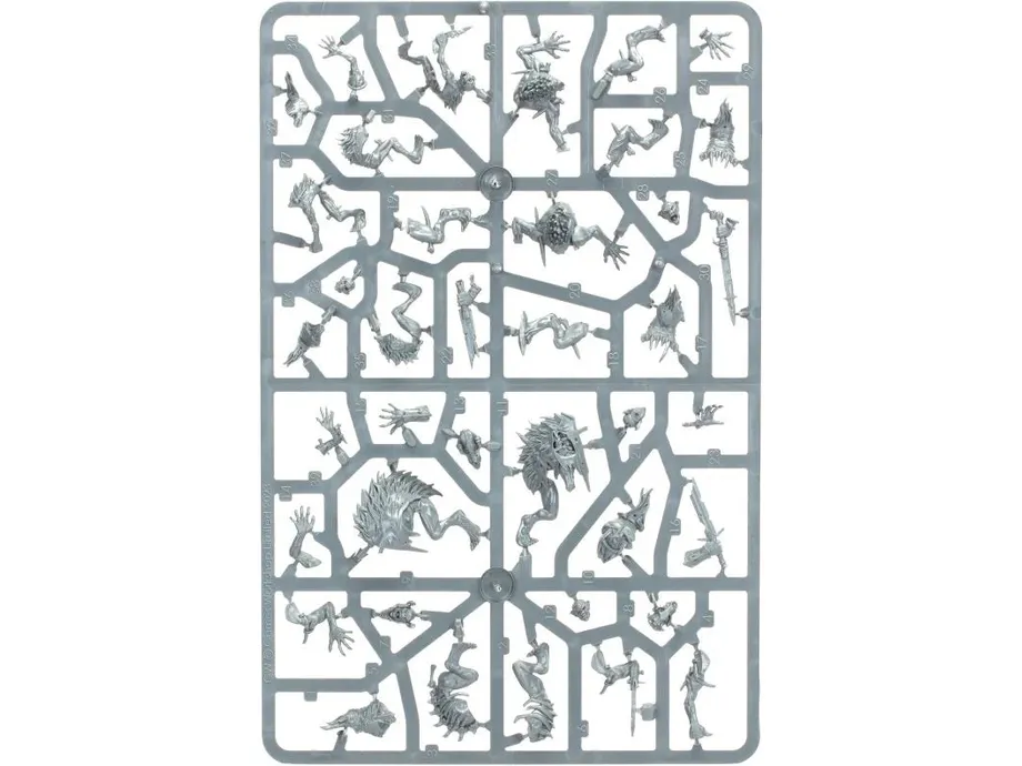 Games Workshop - Warhammer Age of Sigmar - Warcry - Royal Beastflayers - 111-98 - Image 6