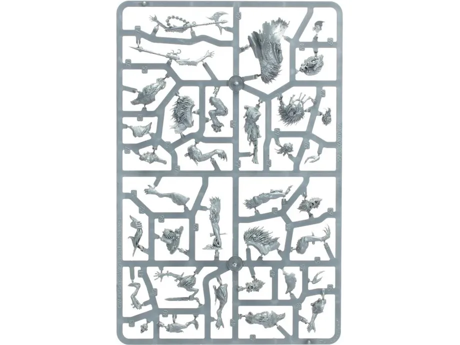 Games Workshop - Warhammer Age of Sigmar - Warcry - Royal Beastflayers - 111-98 - Image 7