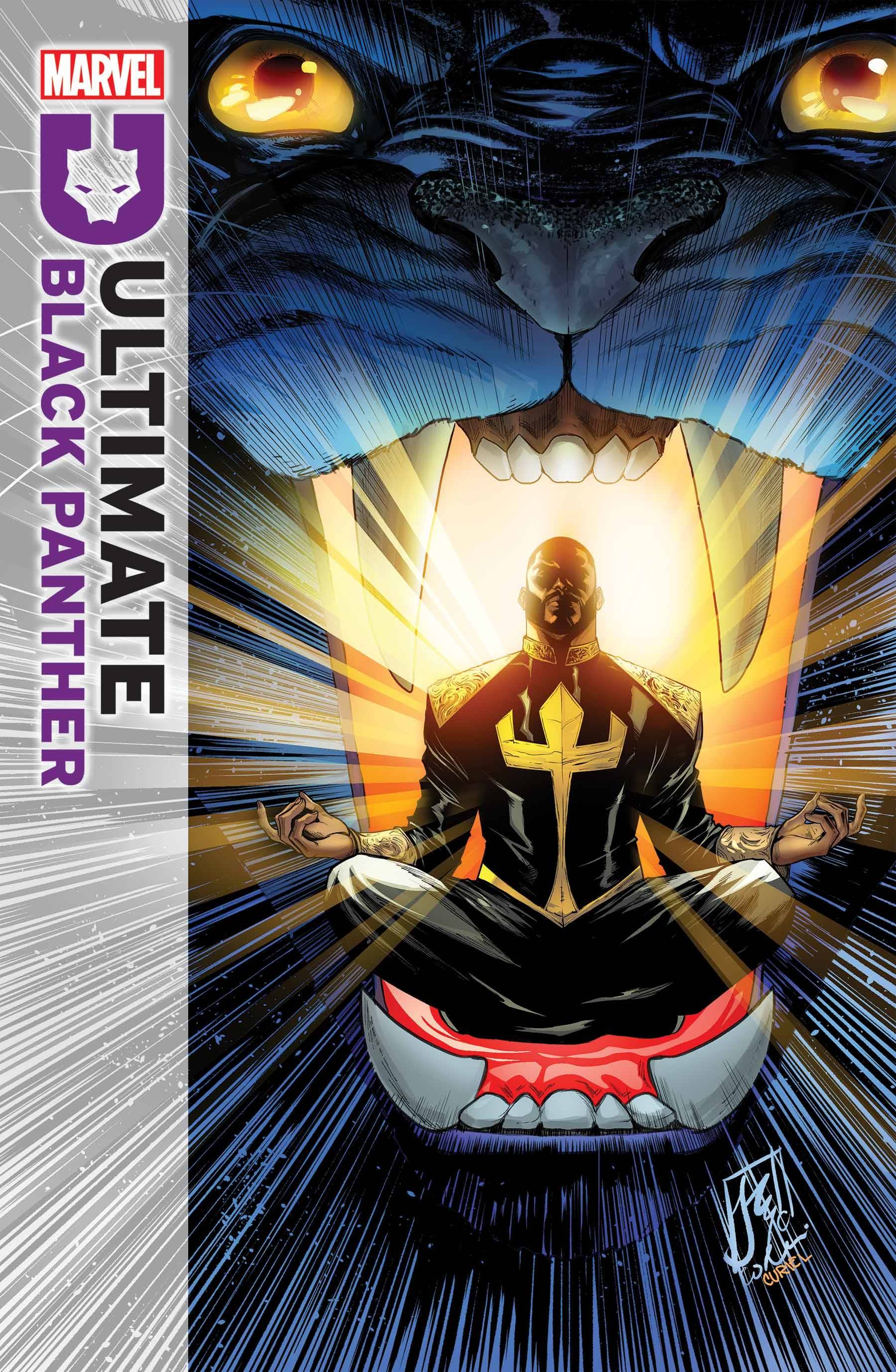 Marvel Comics - Ultimate Black Panther 006 (Cond. VF) - 22411