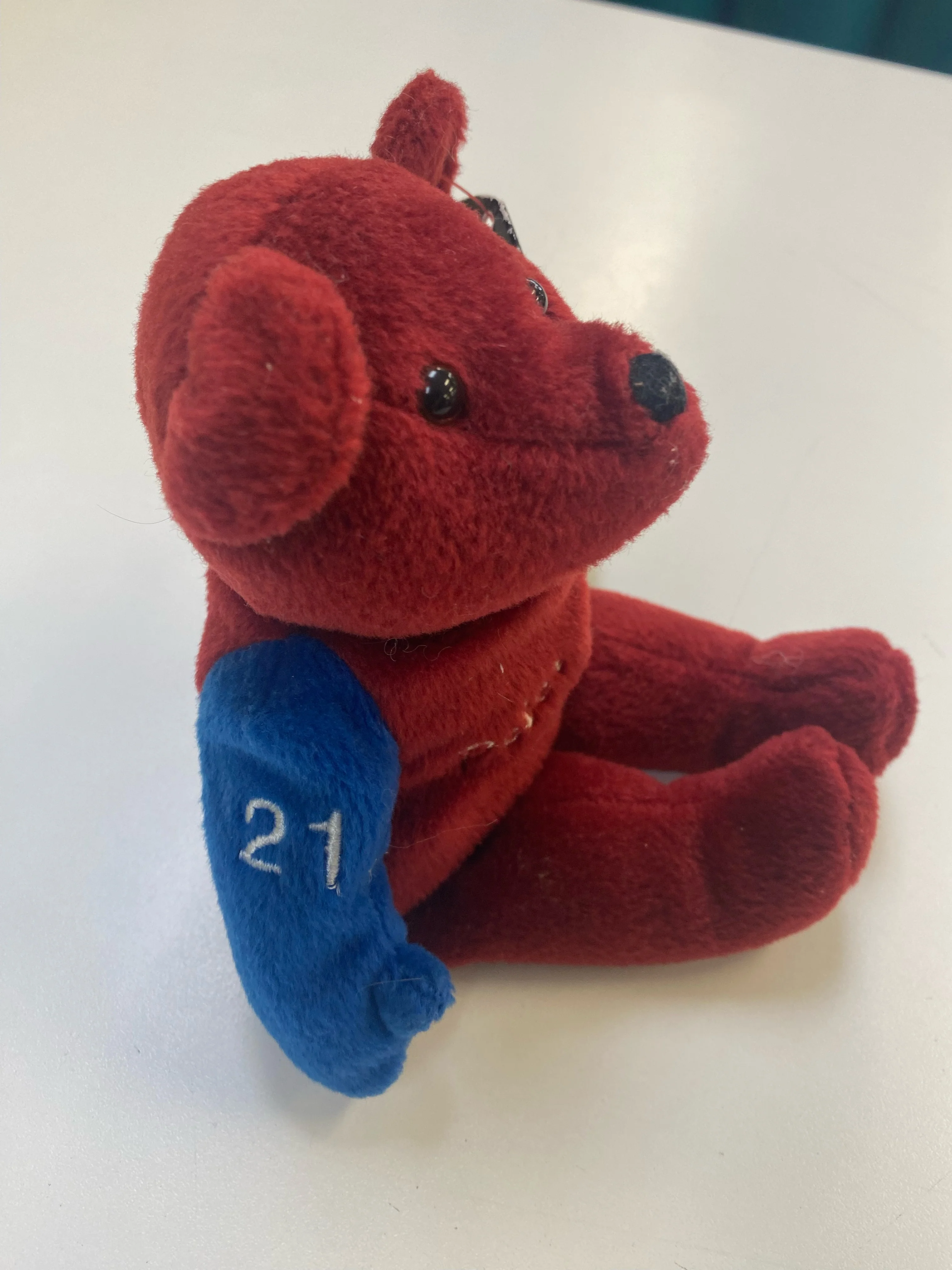 Salvino's Bammers - 1999 - Red & Blue Teddy Bear - Peter Forsberg - Image 4