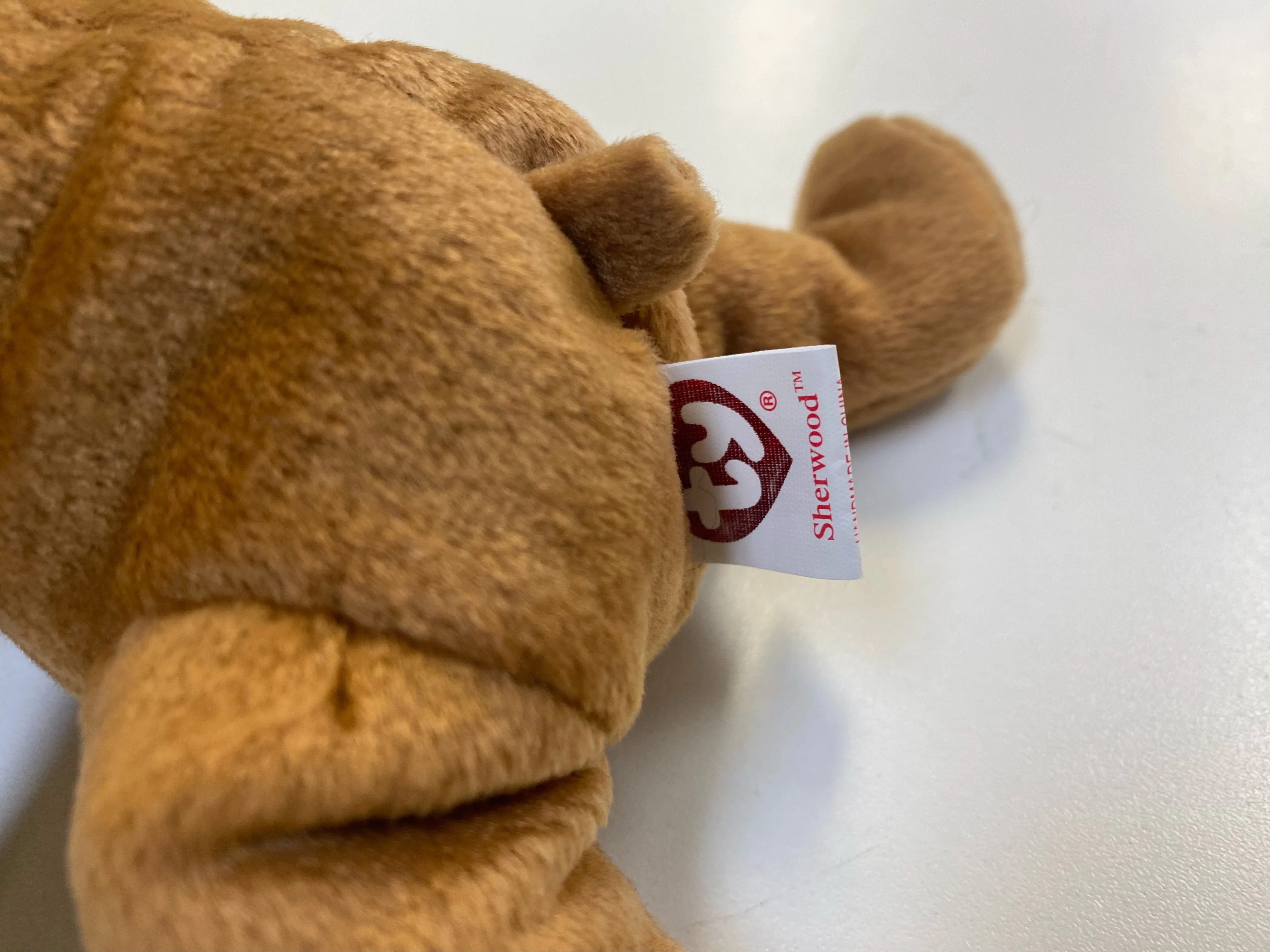 TY Beanie Babies - Sherwood the Bear - Image 7