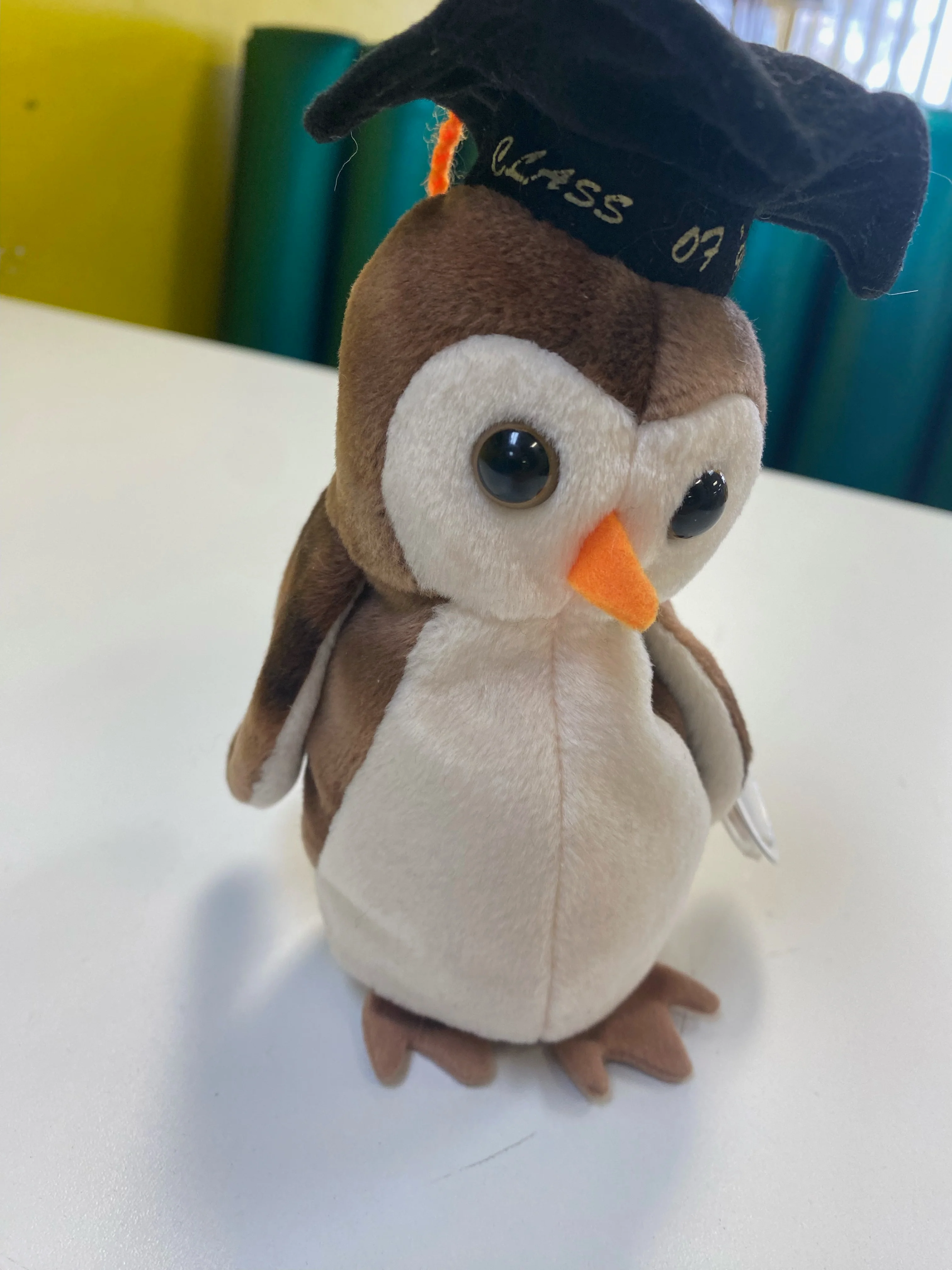TY Beanie Babies - Wiser the Owl - Class of '98 - Image 2