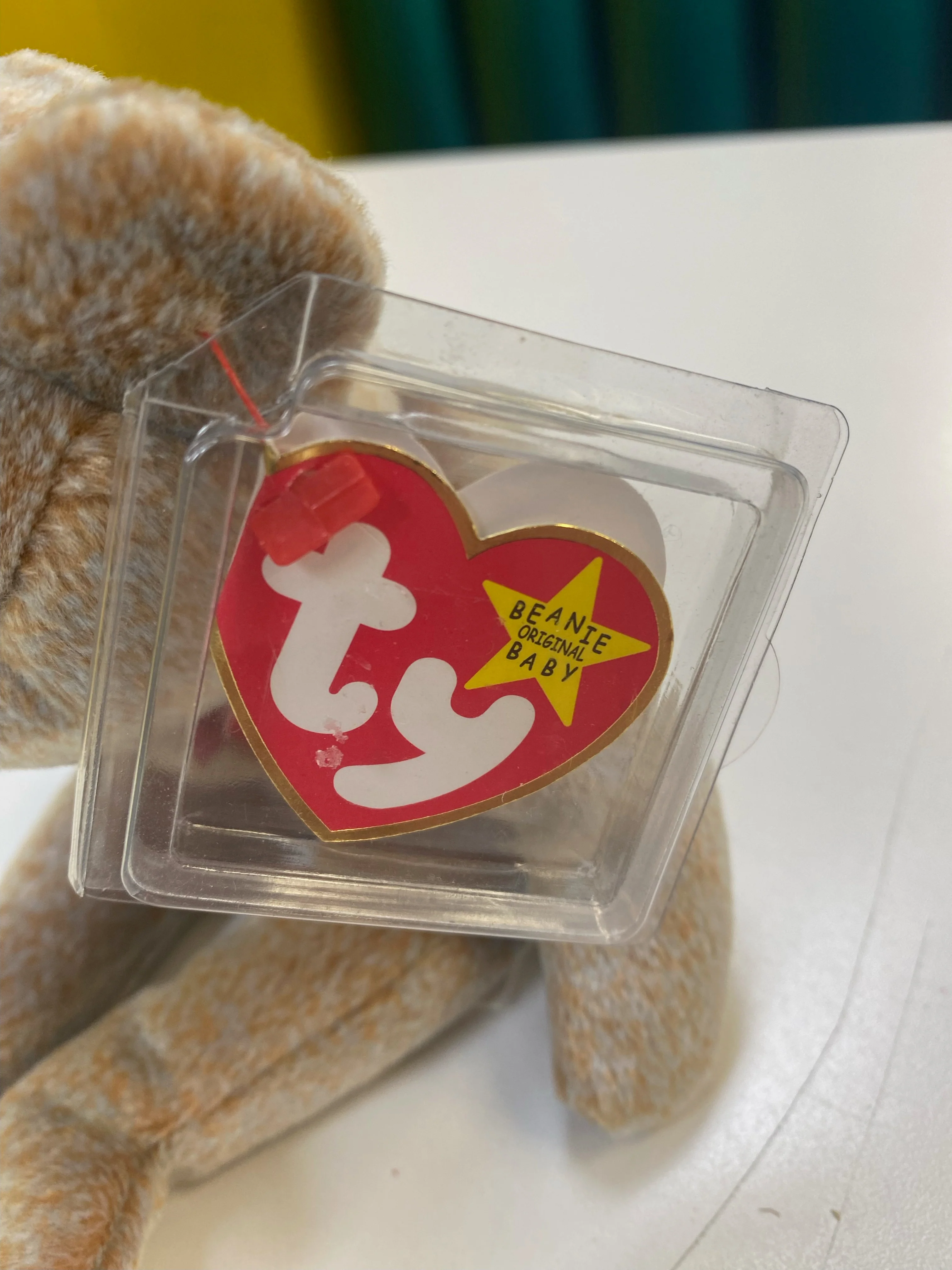TY Beanie Baby - 1999 Signature Bear - Image 5
