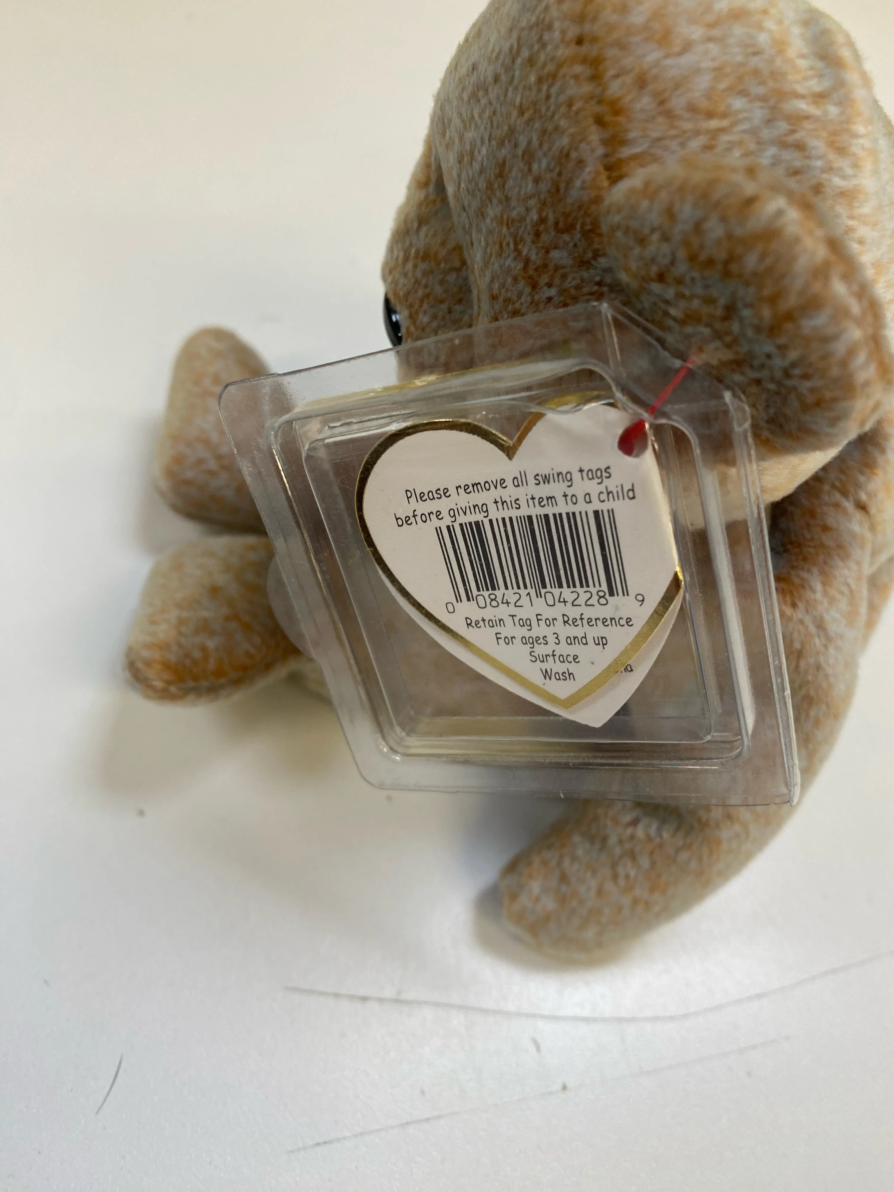 TY Beanie Baby - 1999 Signature Bear - Image 6