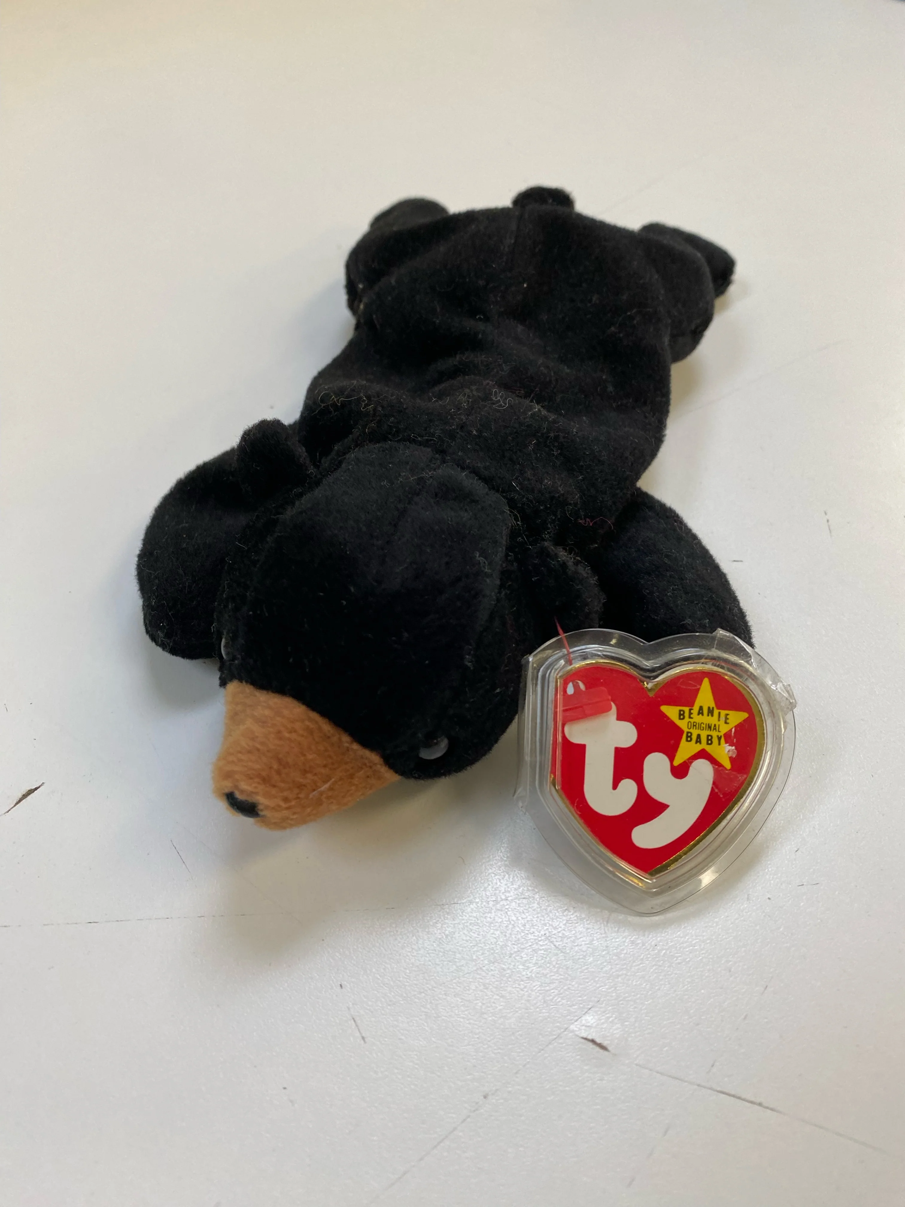 TY Beanie Baby - Blackie the Black Bear - Image 2