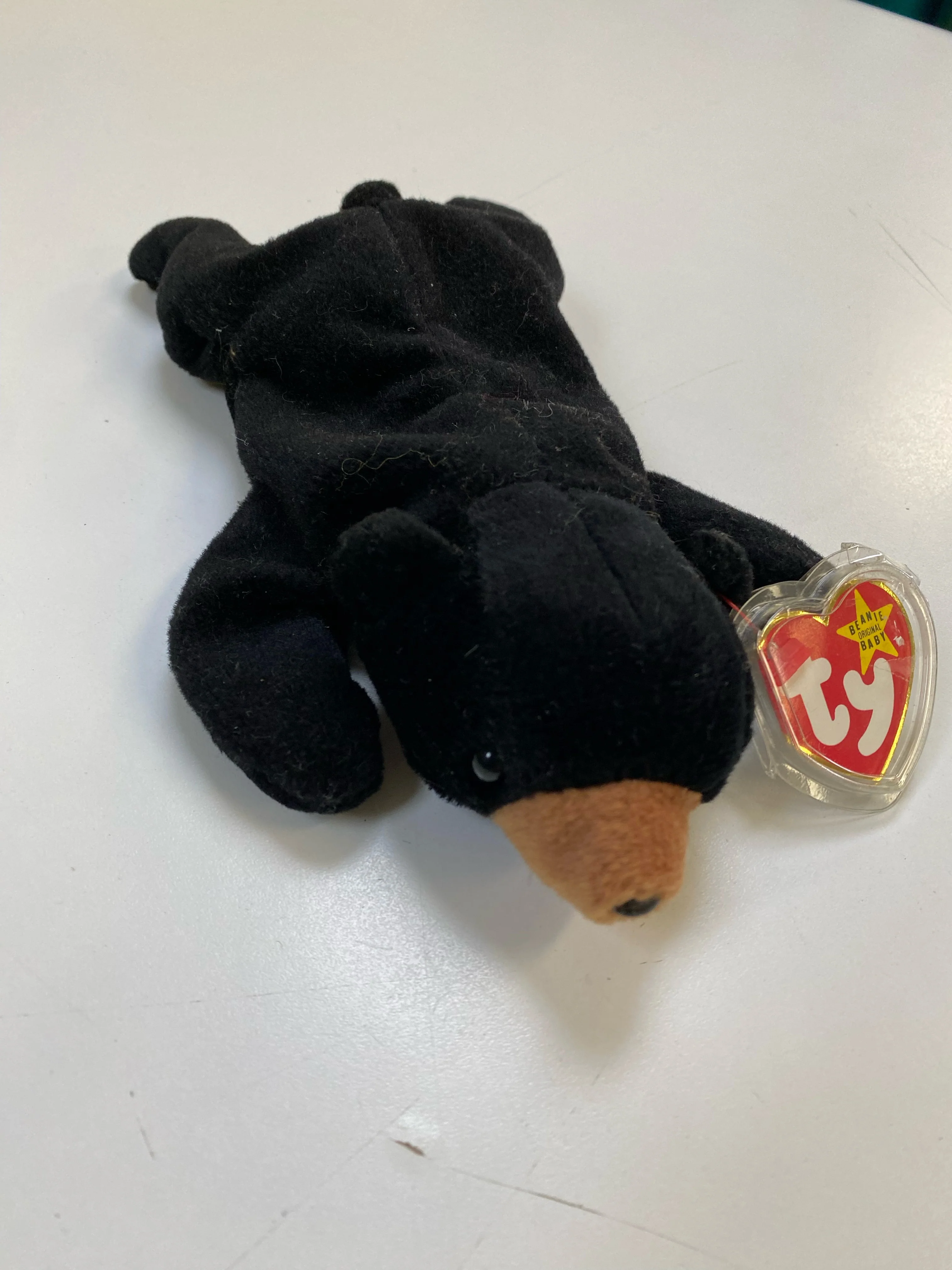 TY Beanie Baby - Blackie the Black Bear - Image 3