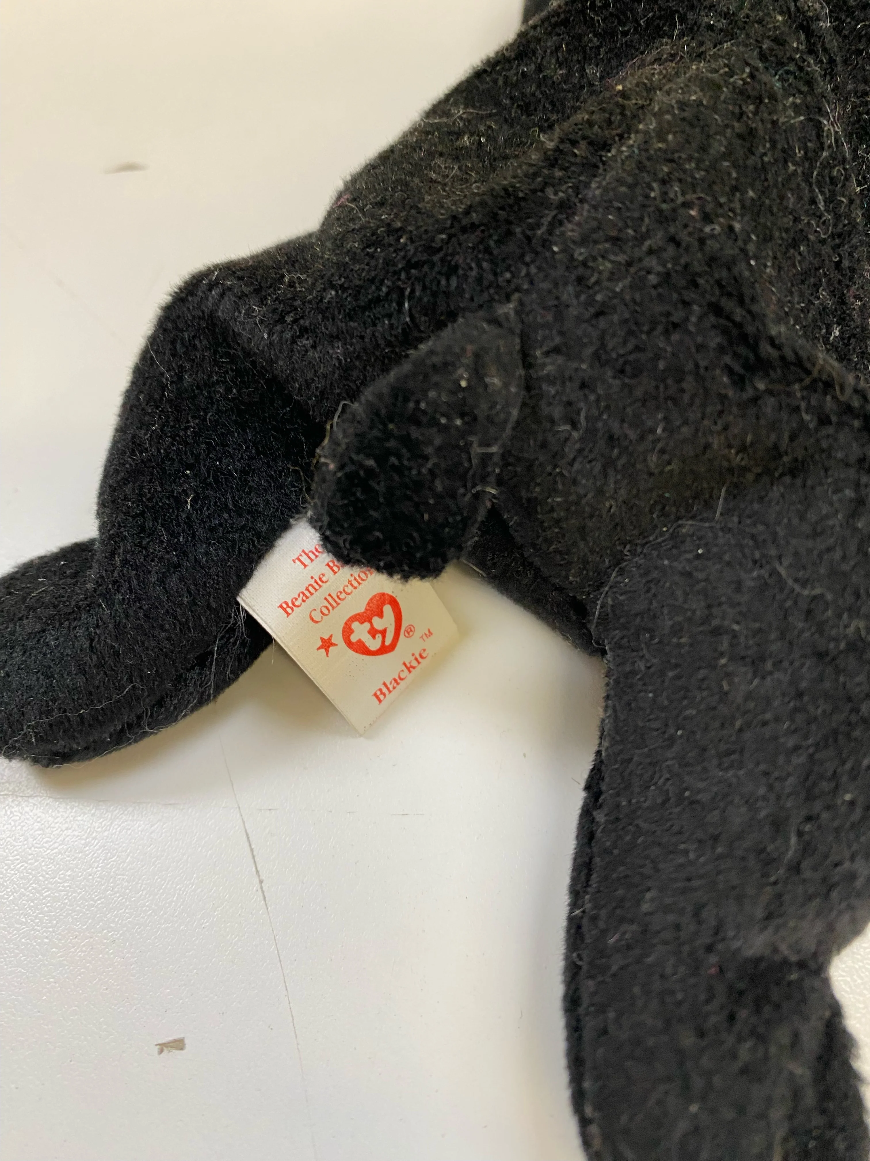 TY Beanie Baby - Blackie the Black Bear - Image 6