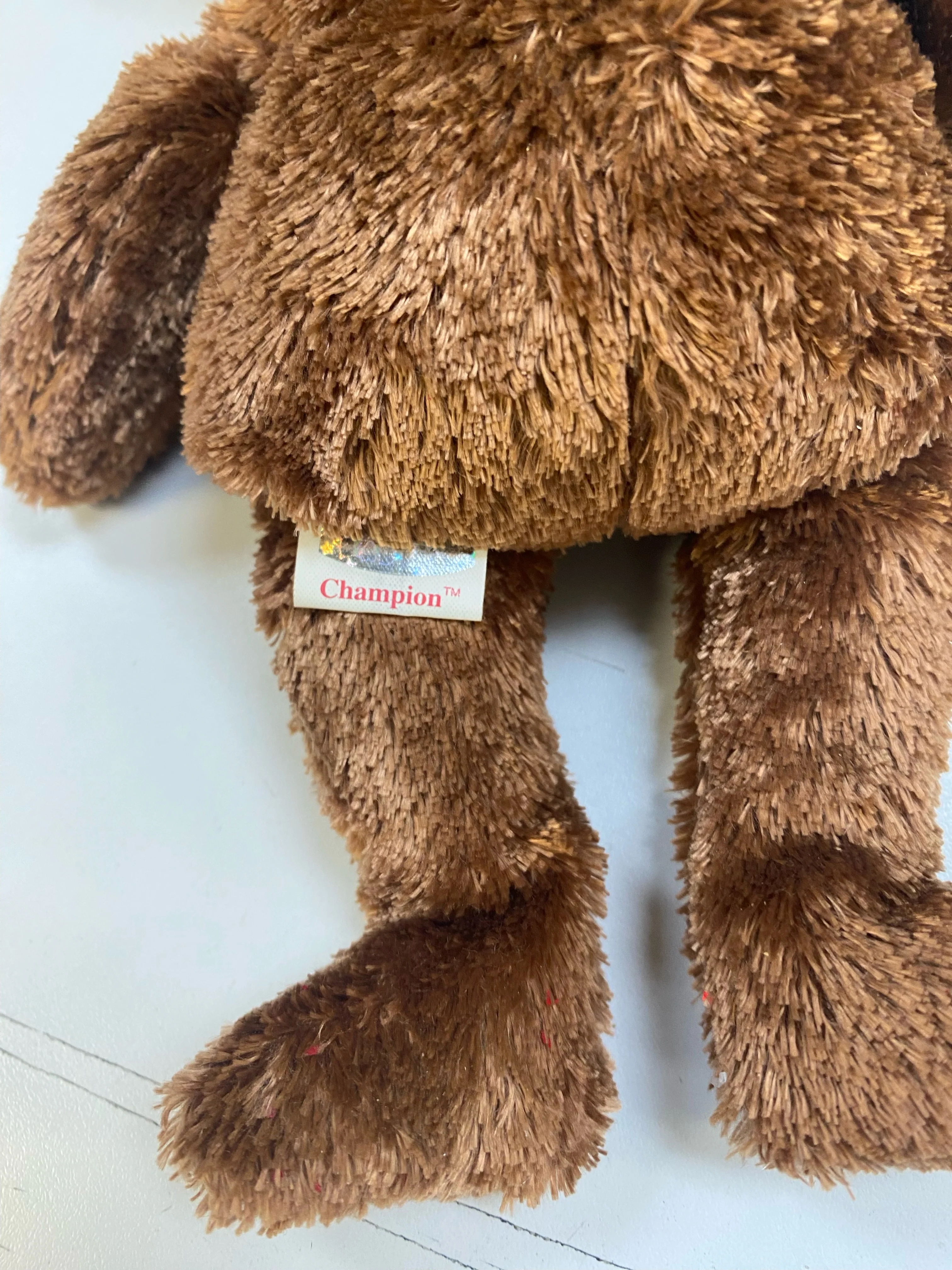 TY Beanie Baby - Champion the FIFA Bear - Argentina - Image 5