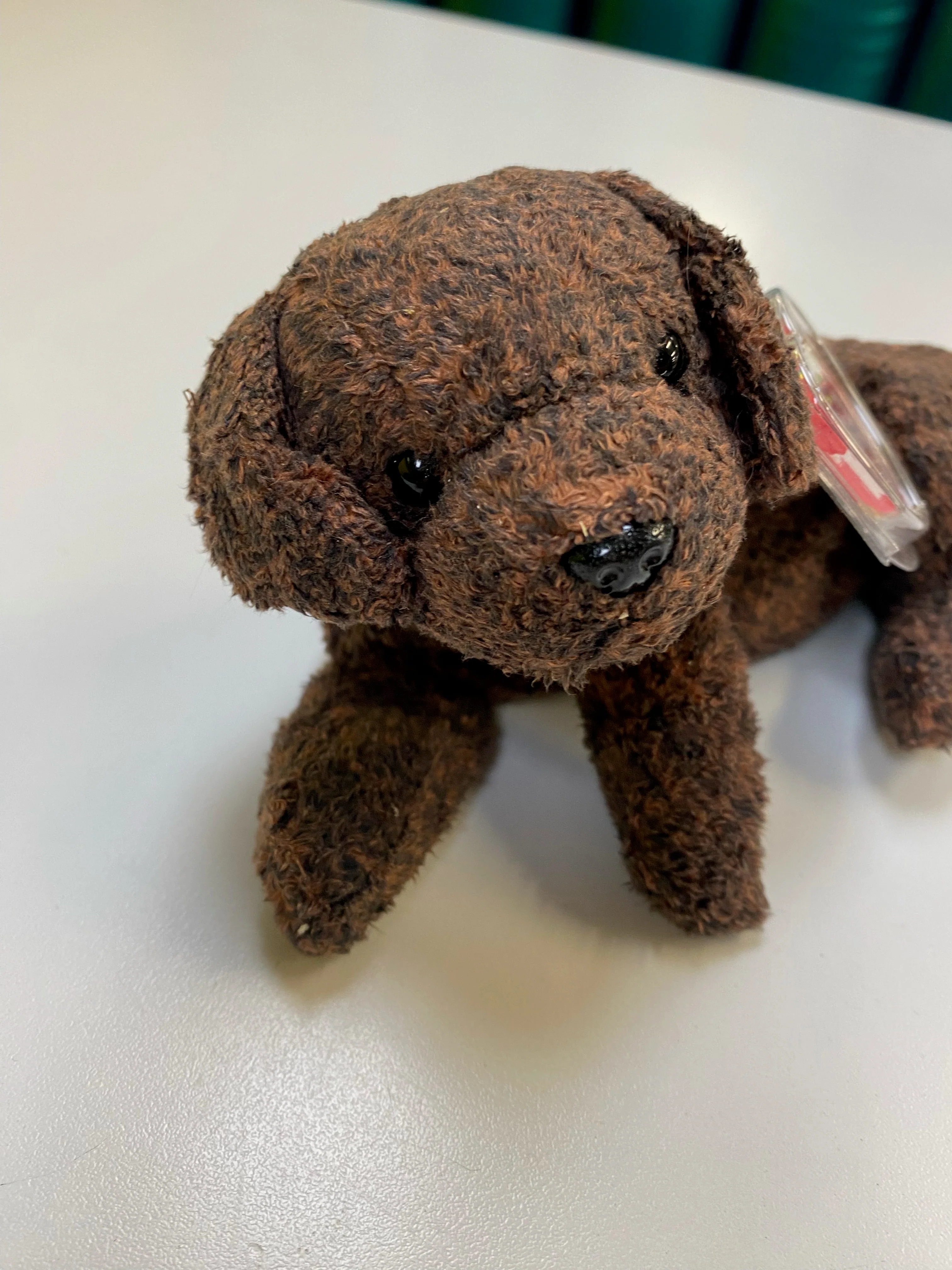 TY Beanie Baby - Fetcher the Dog - Image 3