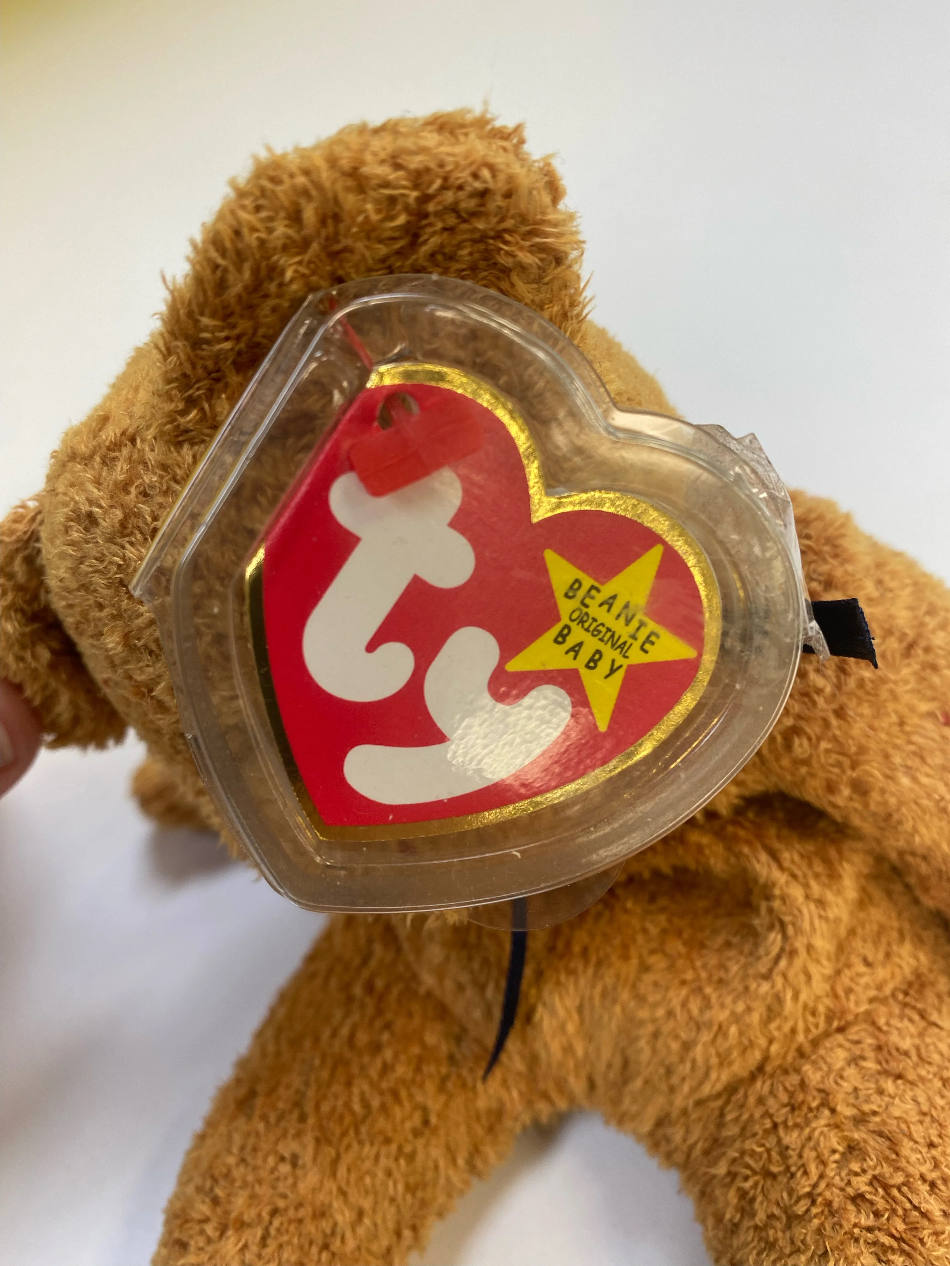 TY Beanie Baby - Fuzz the Bear - Image 5