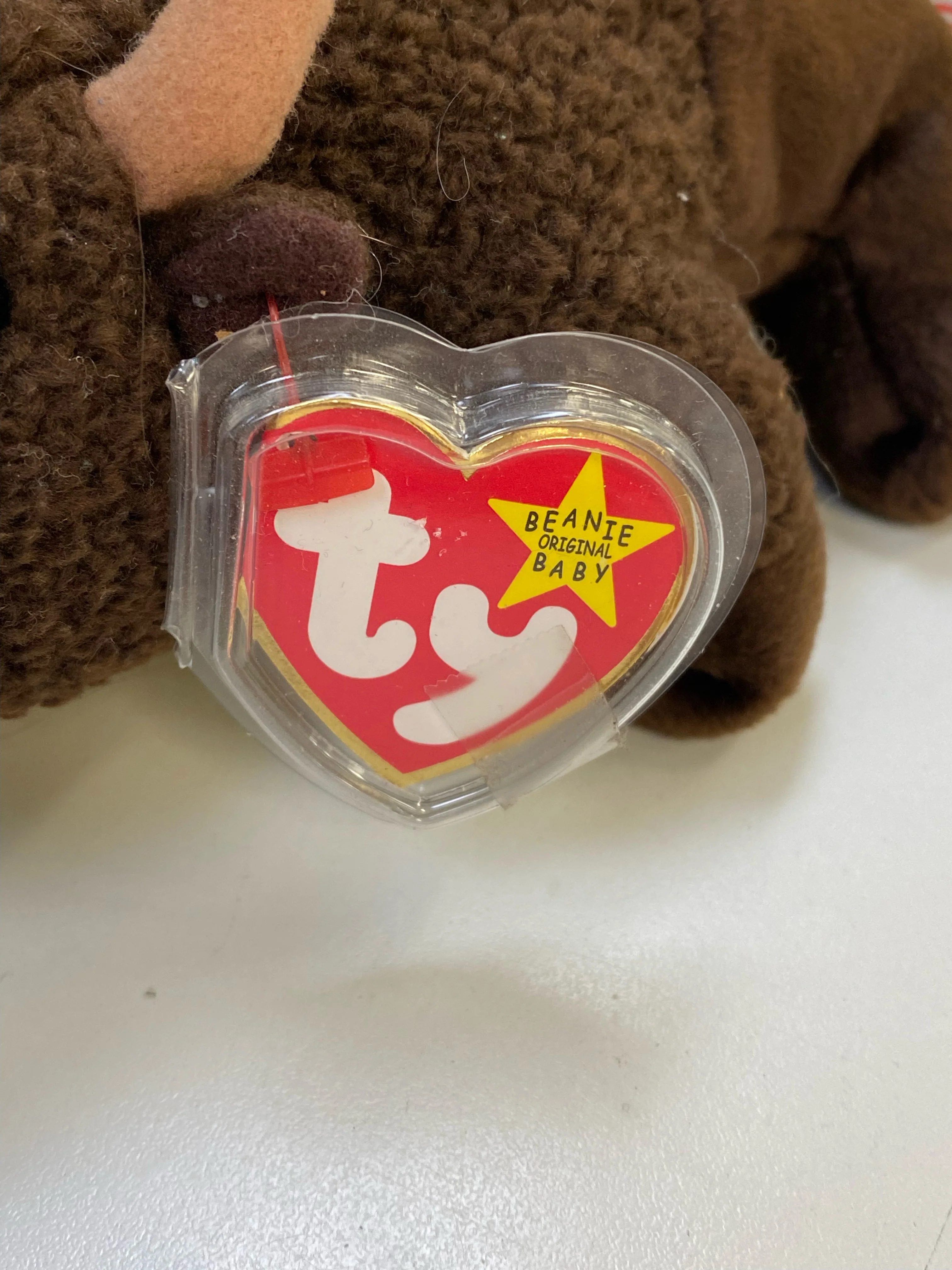TY Beanie Baby - Roam the Buffalo - Image 5