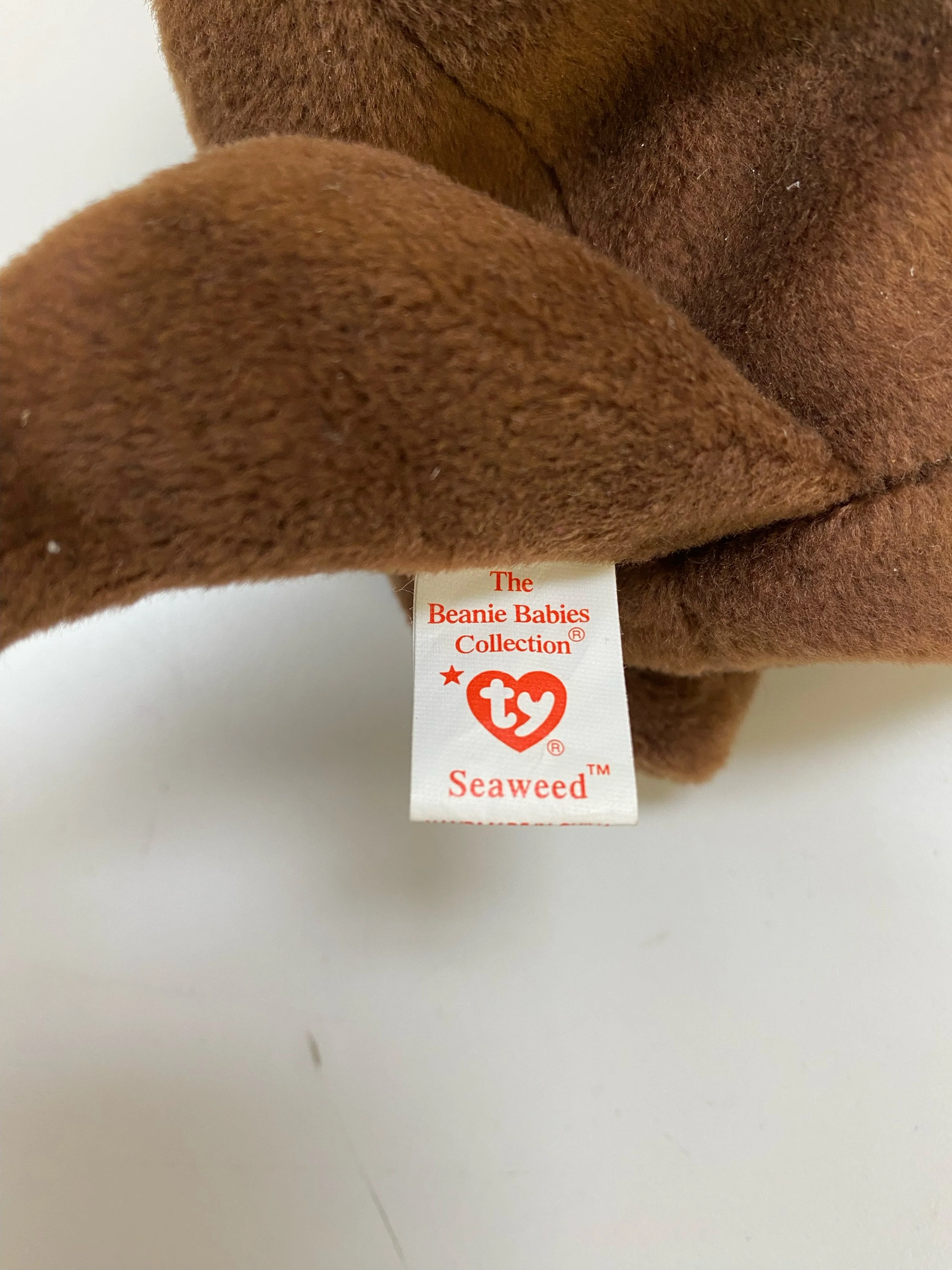 TY Beanie Baby - Seaweed the Otter - Image 7