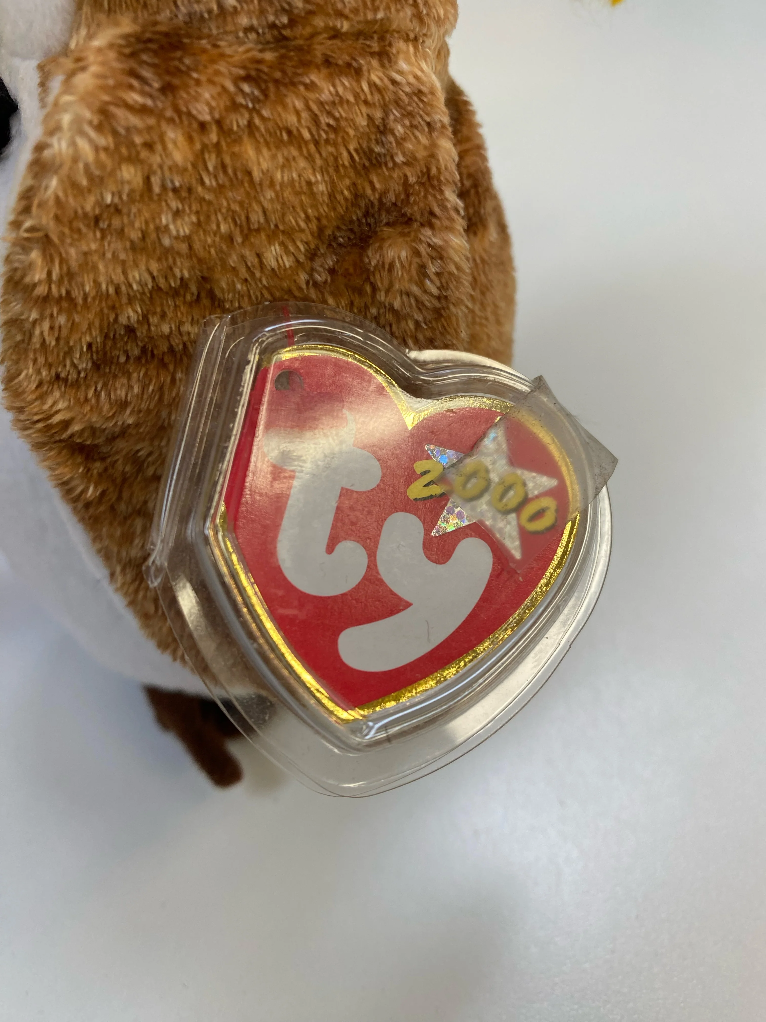 TY Beanie Baby - Wisest the Owl - Class of 2000 - Image 6