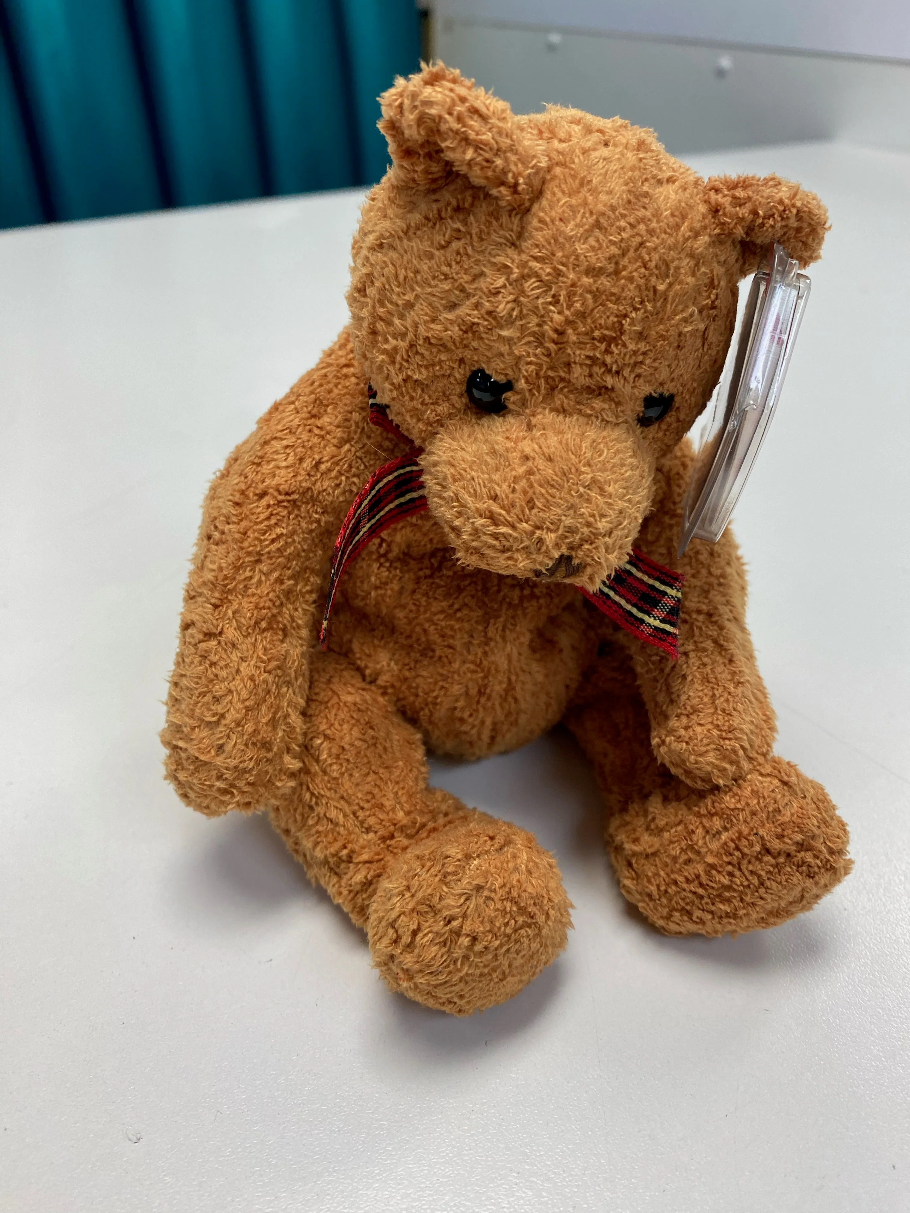 TY Beanie Baby - Woody the Bear - Image 3
