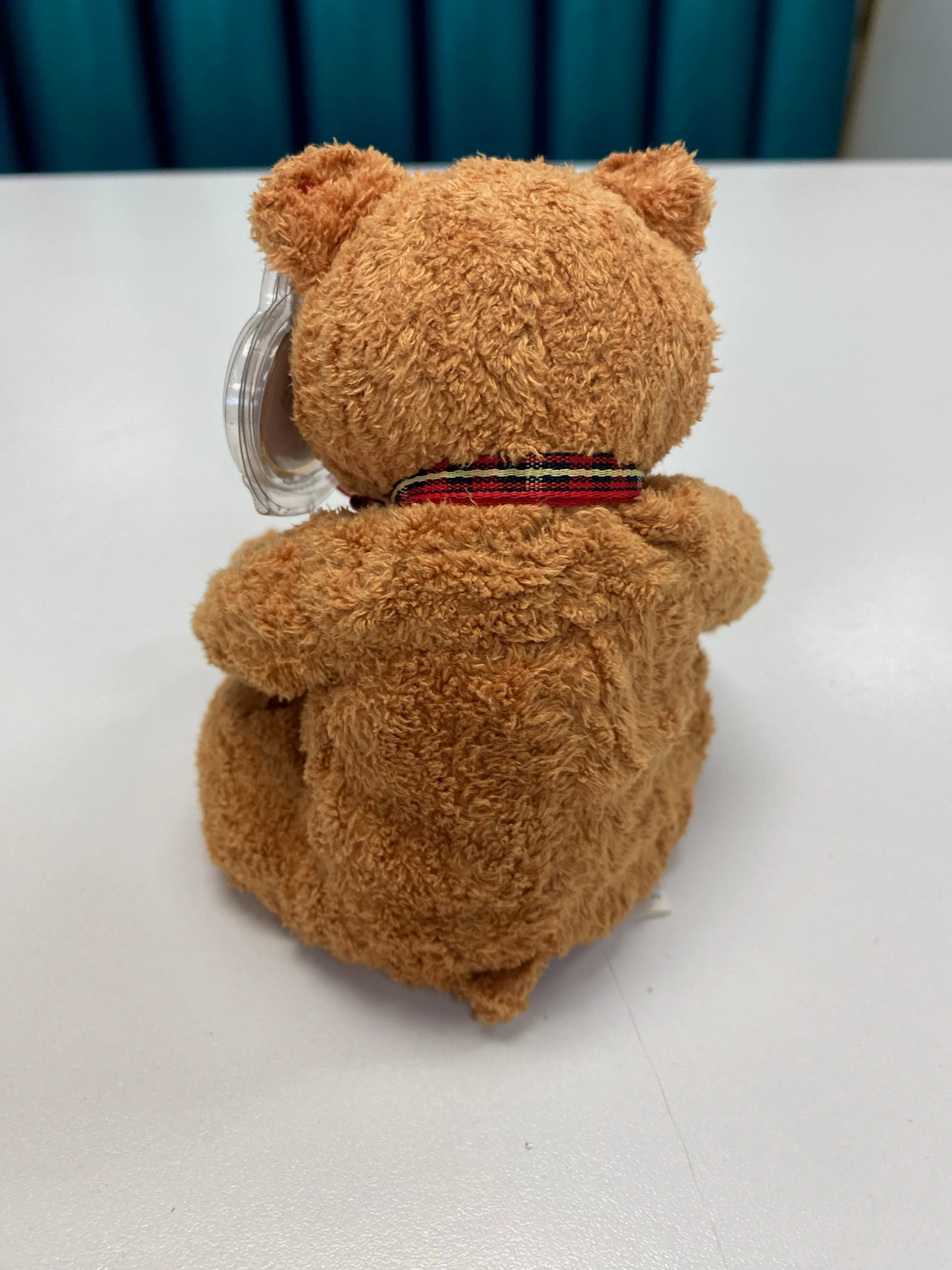 TY Beanie Baby - Woody the Bear - Image 4